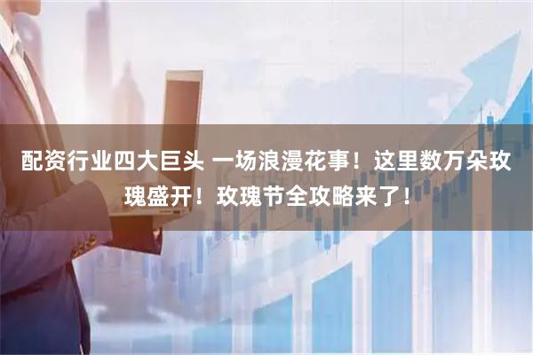 配资行业四大巨头 一场浪漫花事！这里数万朵玫瑰盛开！玫瑰节全攻略来了！