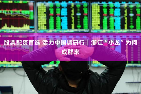 股票配资首选 活力中国调研行｜浙江“小龙”为何成群来